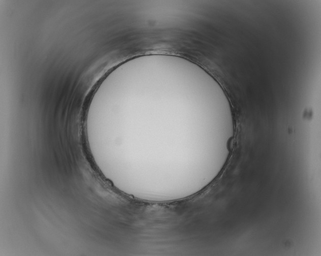 X0000112490290200909071227