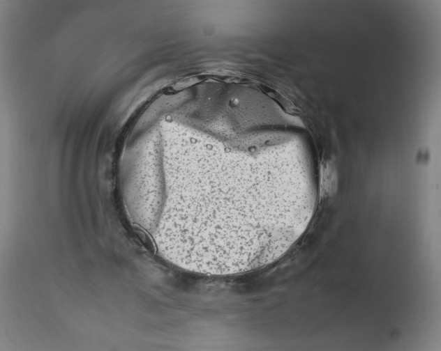 X0000112490291200909071227