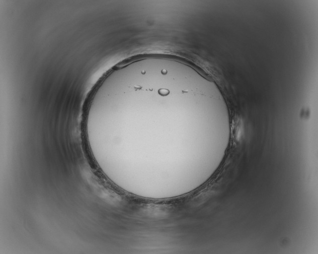 X0000112490292200909071227