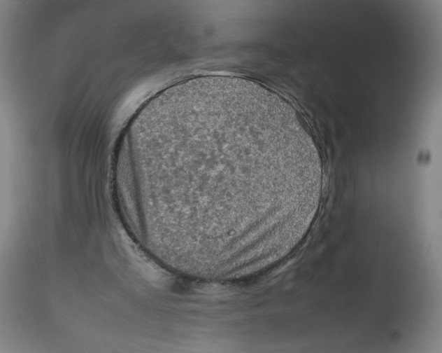X0000112490293200909071227