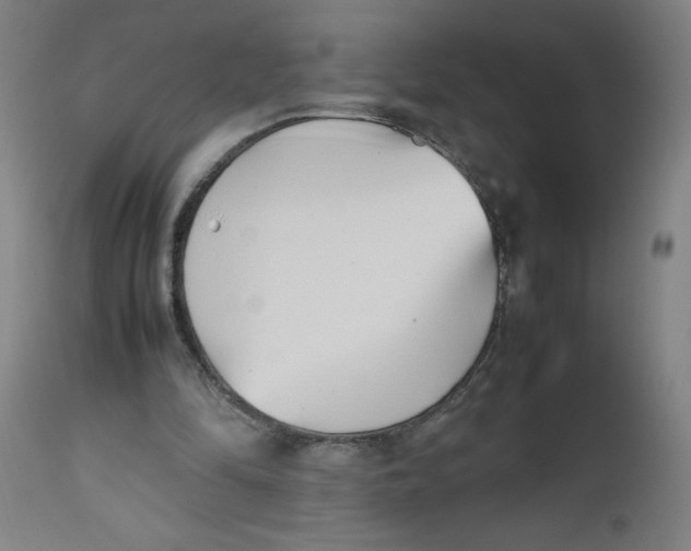 X0000112490294200909071227