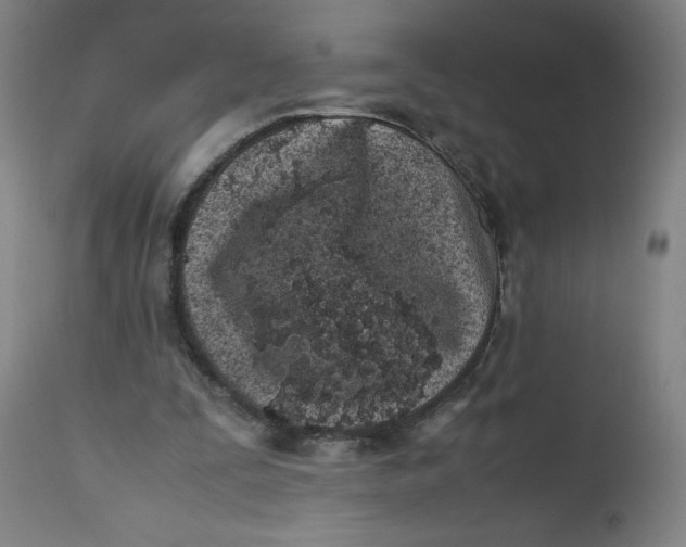 X0000112490295200909071227