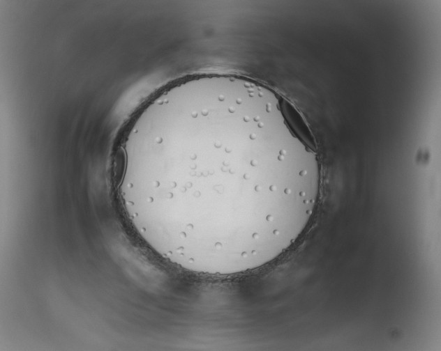 X0000112490296200909071227