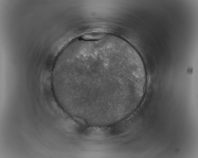 X0000112490297200909071227