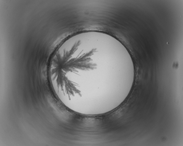 X0000112490298200909071227