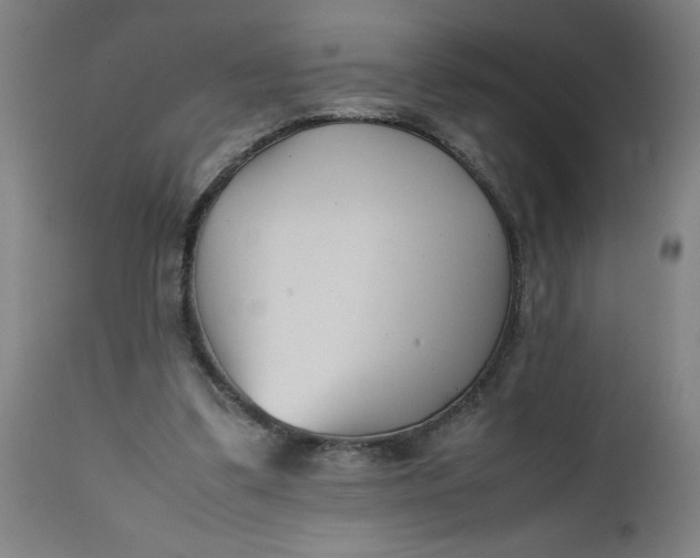 X0000112490299200909071227