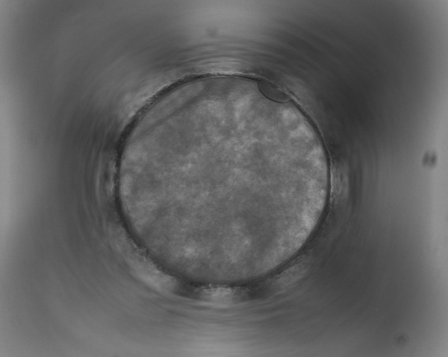 X0000112490301200909071227
