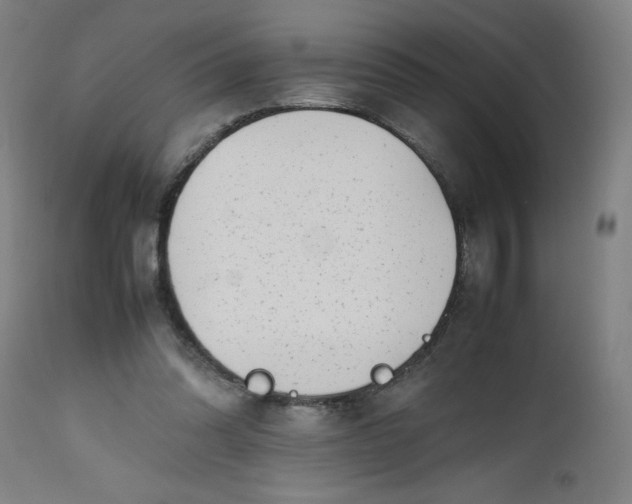 X0000112490302200909071227