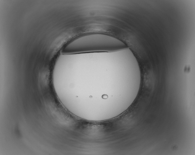 X0000112490304200909071227
