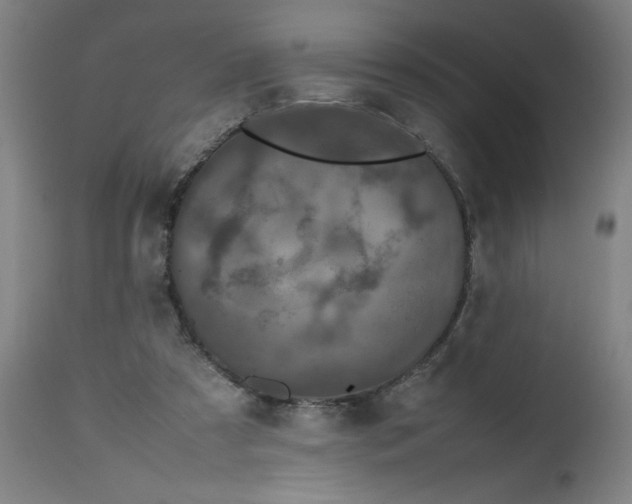 X0000112490305200909071227