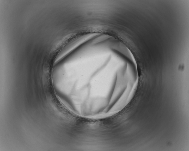 X0000112490306200909071227