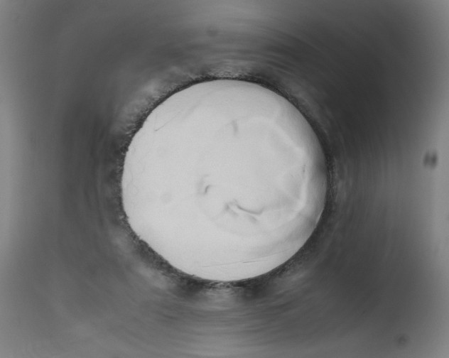 X0000112490307200909071227