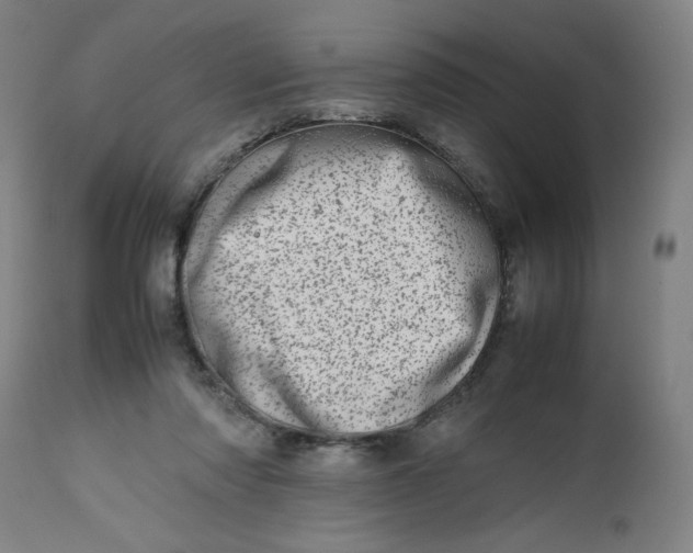 X0000112490310200909071227