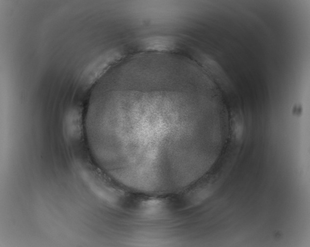 X0000112490312200909071227