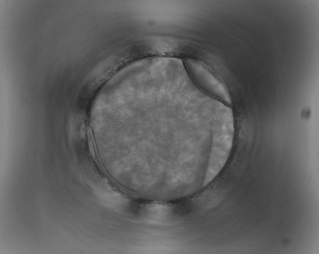 X0000112490313200909071227