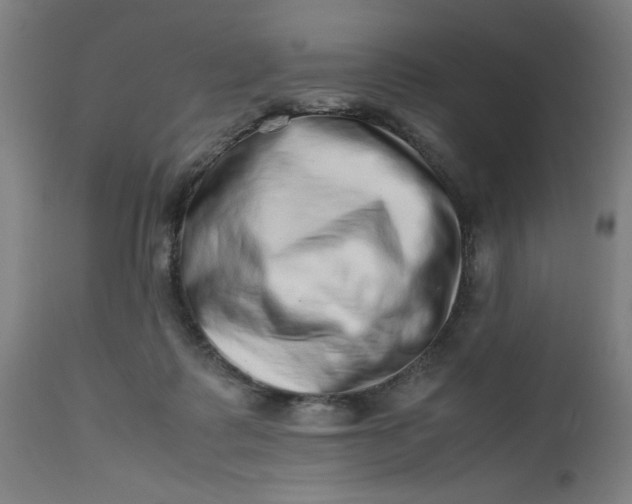 X0000112490315200909071227
