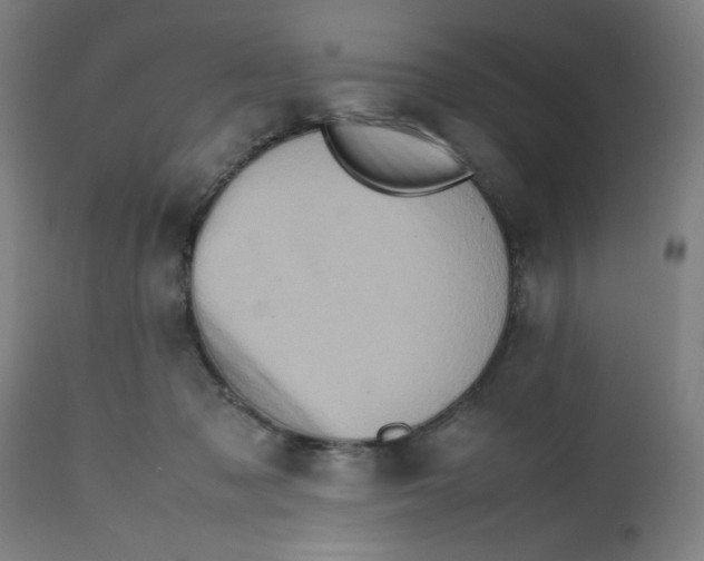 X0000112490317200909071227