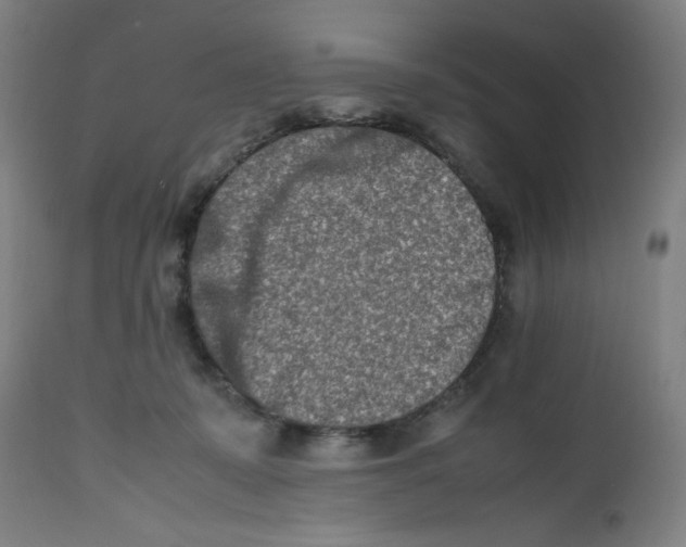 X0000112490319200909071227