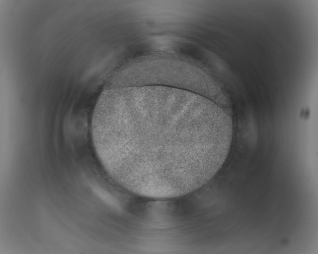 X0000112490320200909071227