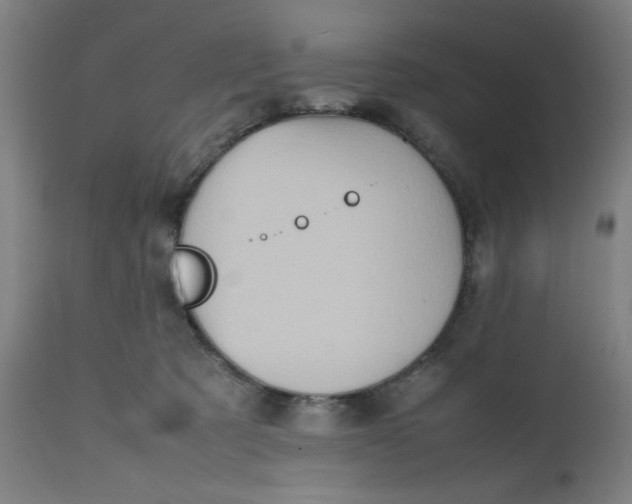 X0000112490321200909071227