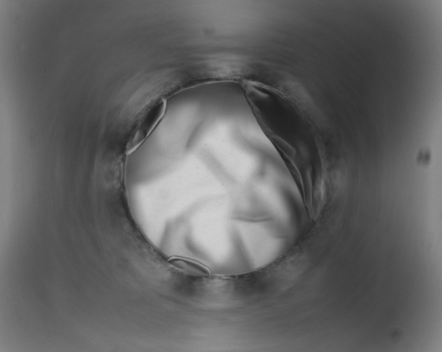 X0000112490325200909071227