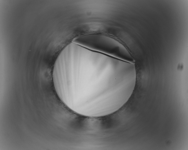 X0000112490327200909071227