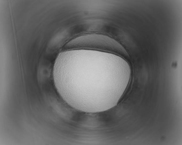 X0000112490328200909071227