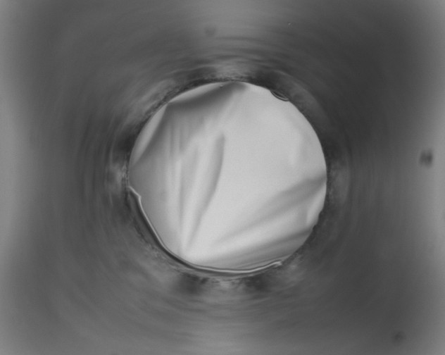 X0000112490329200909071227