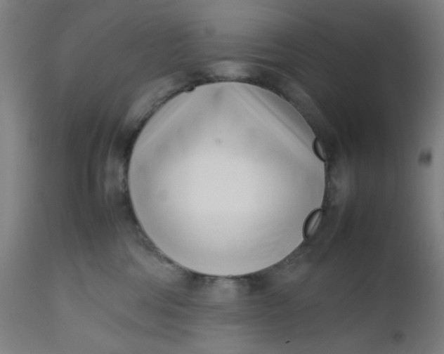 X0000112490330200909071227