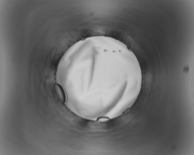 X0000112490331200909071227
