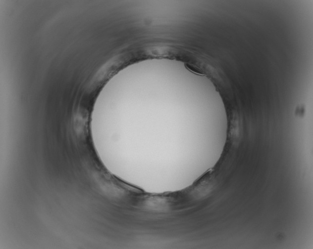 X0000112490332200909071227