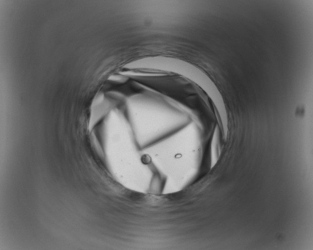 X0000112490333200909071227