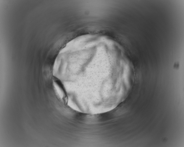 X0000112490335200909071227