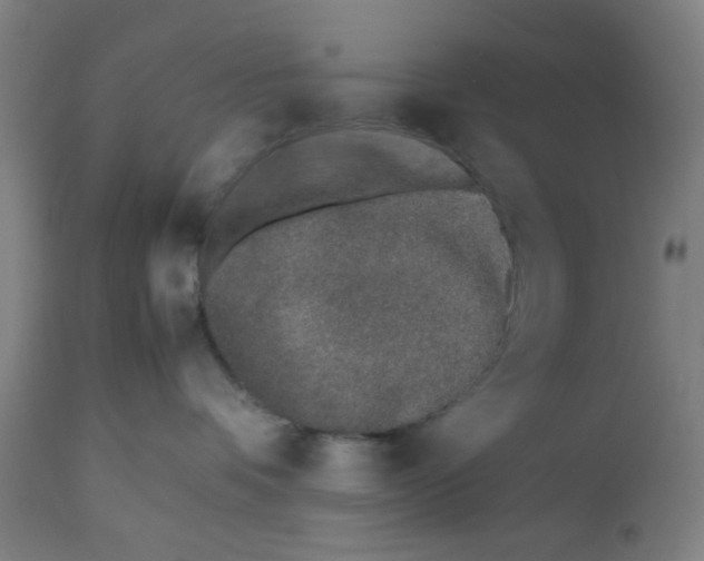X0000112490336200909071227