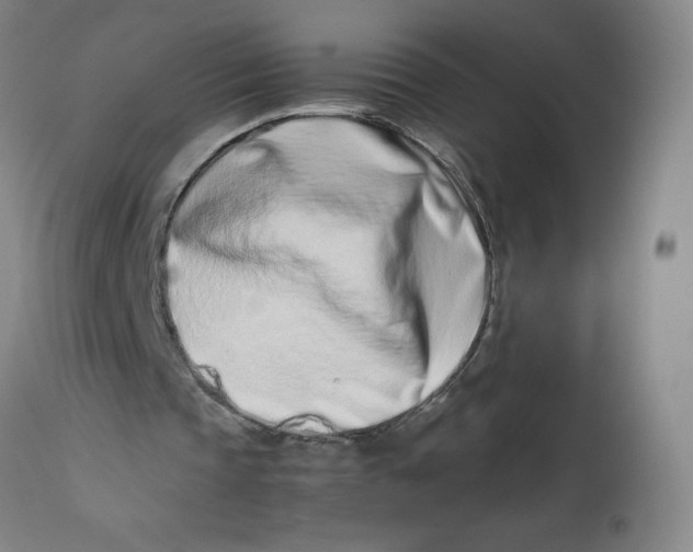 X0000112490337200909071226