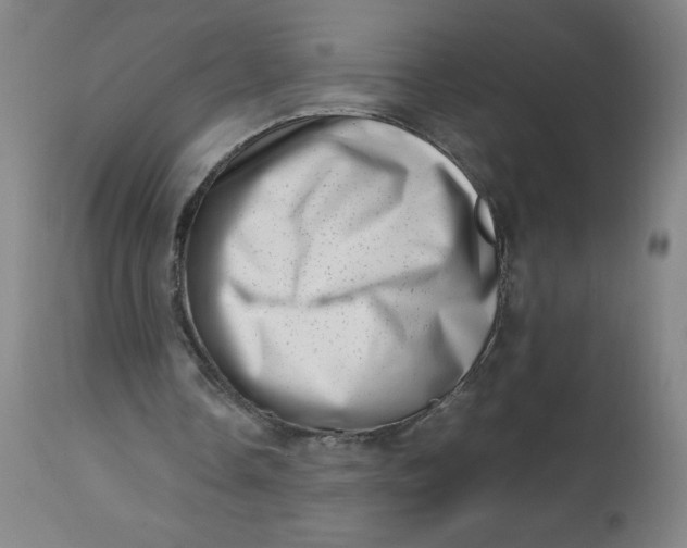 X0000112490338200909071226