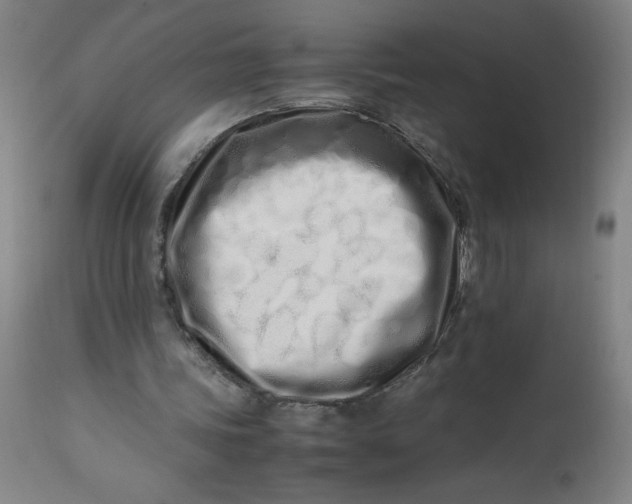 X0000112490339200909071226