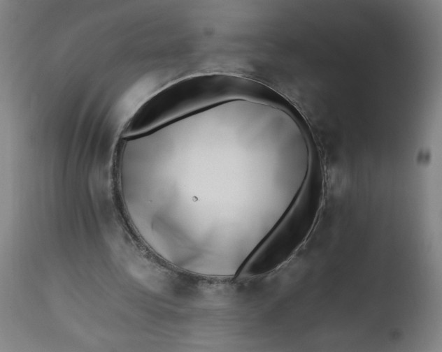X0000112490340200909071226