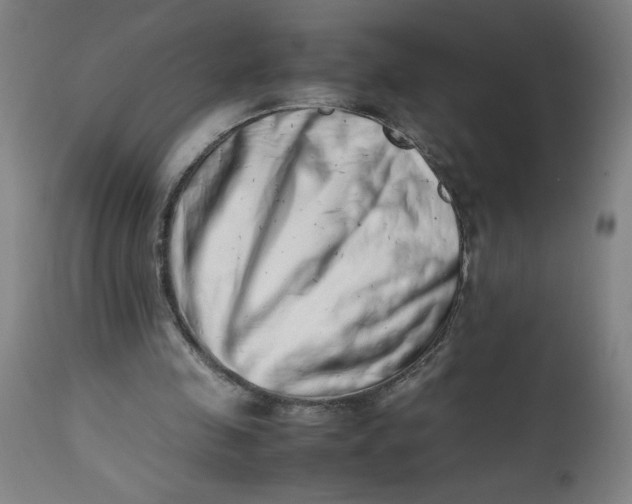 X0000112490341200909071226