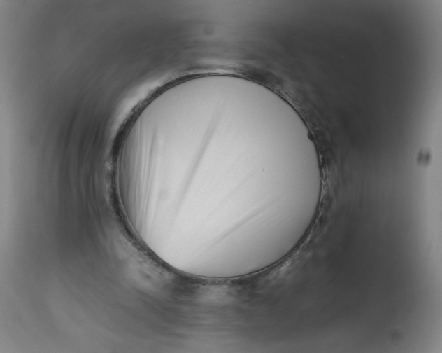 X0000112490342200909071226