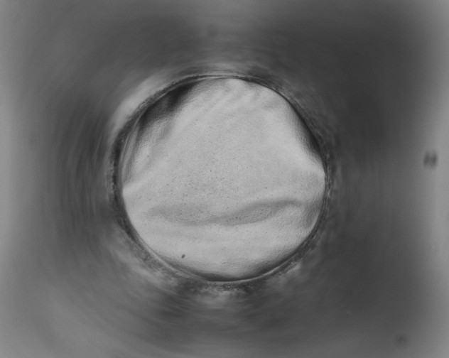 X0000112490343200909071226