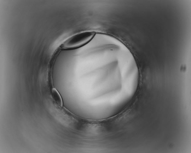 X0000112490344200909071226