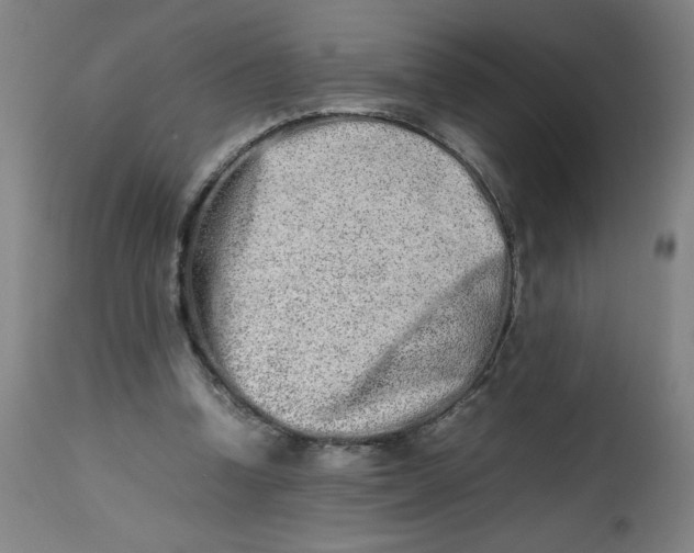 X0000112490346200909071226