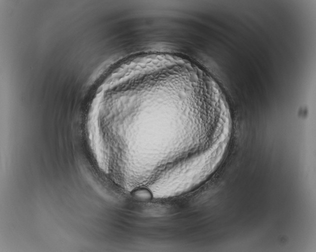 X0000112490347200909071226