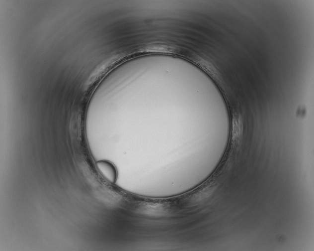 X0000112490349200909071226
