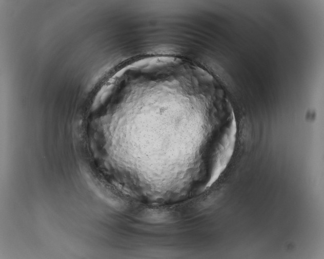 X0000112490351200909071226
