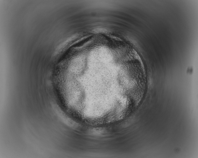 X0000112490353200909071226