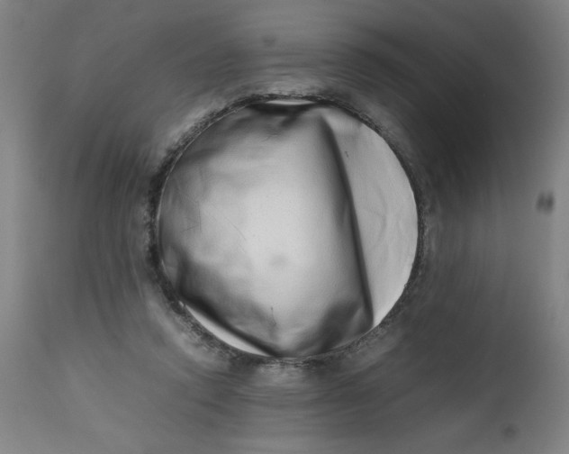 X0000112490354200909071226