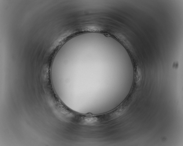 X0000112490355200909071226