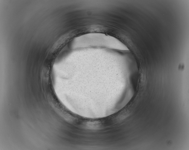 X0000112490357200909071226